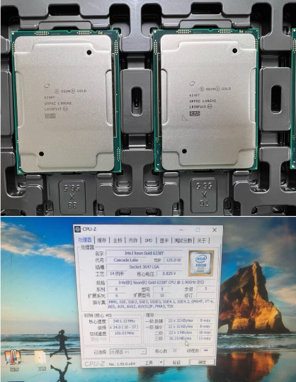 1 Unidad de CPU Xeon Gold 6226 - Gold 6248R reseña y precio